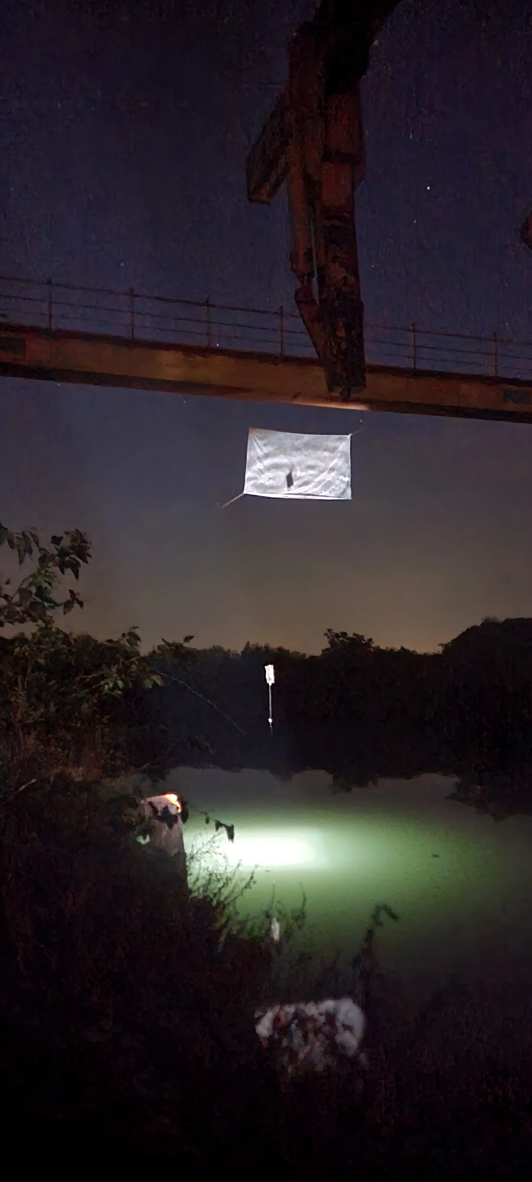 Riflessioni Liquide 7