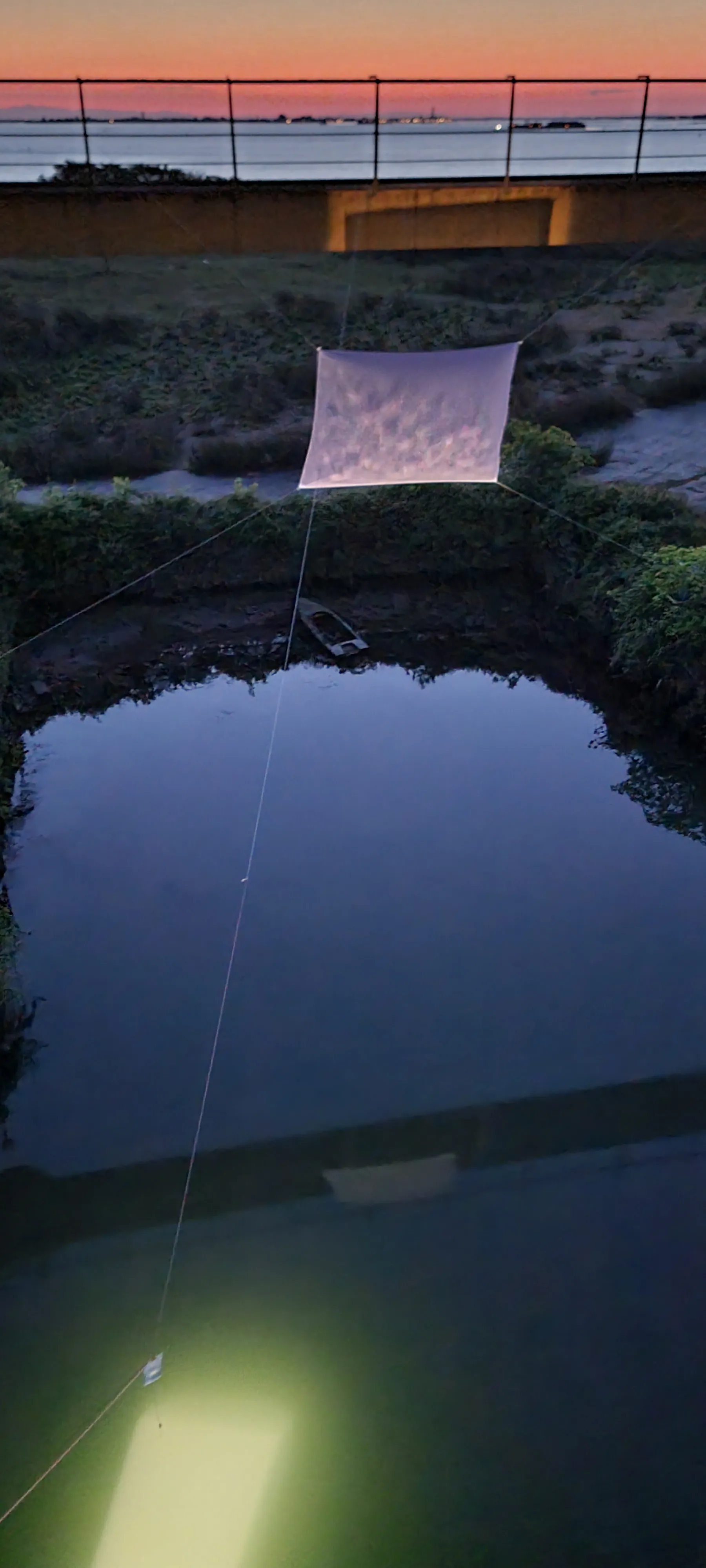 Riflessioni Liquide 8