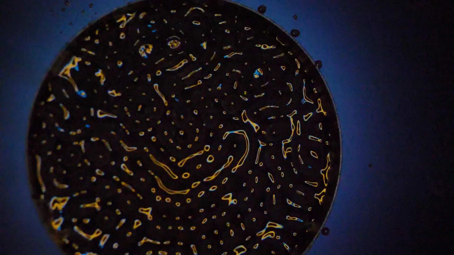 Cymatic study